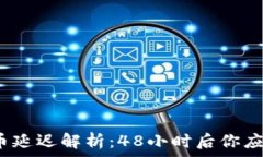   tp冷钱包提币延迟解析：48小时后你应该如何处