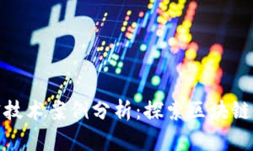 数字货币加密技术案例分析：探索区块链的潜力与挑战