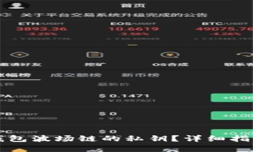 如何找回TP钱包波场链的私钥？详细指南与解决方案