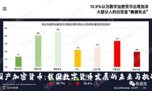国产加密货币：我国数字货币发展的未来与挑战