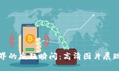 加密货币世界的疯狂瞬间：高清图片展现最震撼时刻