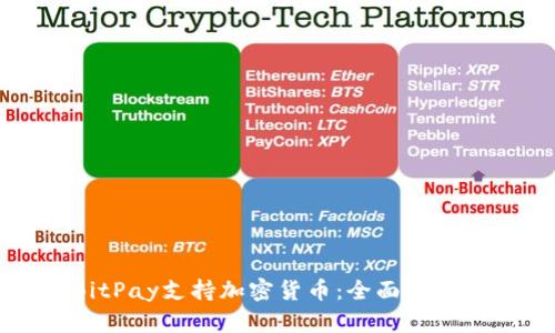 如何使用BitPay支持加密货币：全面解析及操作指南
