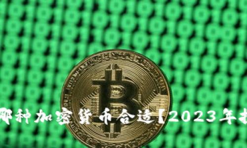现在买哪种加密货币合适？2023年投资指南