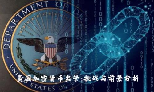 美国加密货币监管：挑战与前景分析