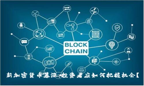 新加密货币暴涨：投资者应如何把握机会？
