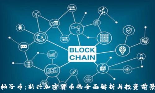   
柚子币：新兴加密货币的全面解析与投资前景