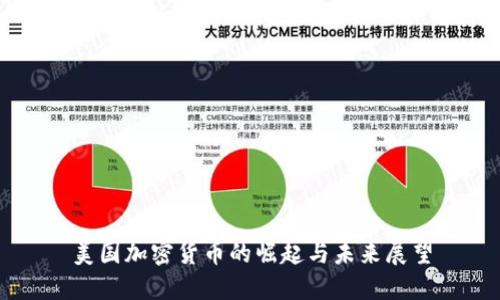 美国加密货币的崛起与未来展望