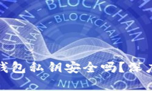 : TP钱包生成的钱包私钥安全吗？深度剖析与安全指南