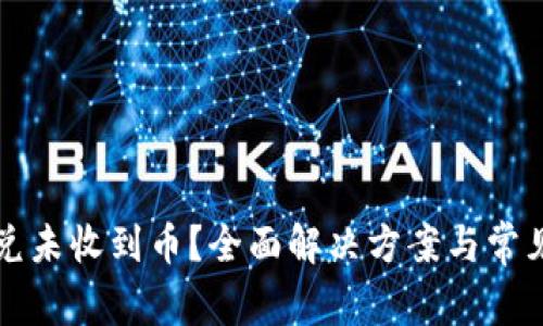 TP钱包闪兑未收到币？全面解决方案与常见问题解析
