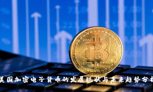 美国加密电子货币的发展现状与未来趋势分析