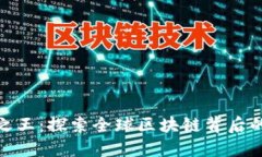 加密货币之王：探索全球