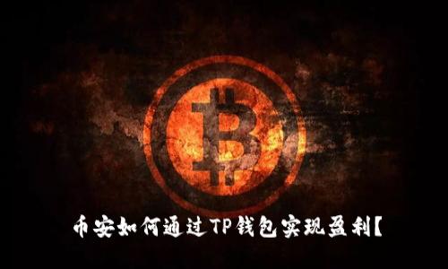 币安如何通过TP钱包实现盈利？
