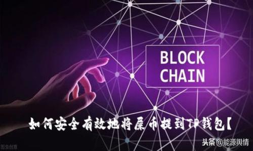  如何安全有效地将屎币提到TP钱包？