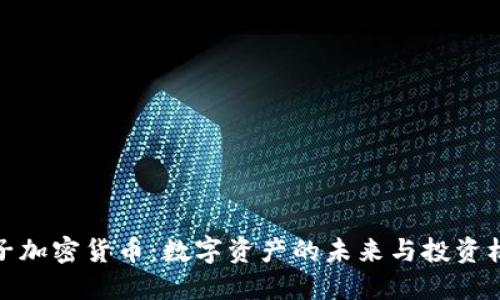 夹子加密货币：数字资产的未来与投资机会