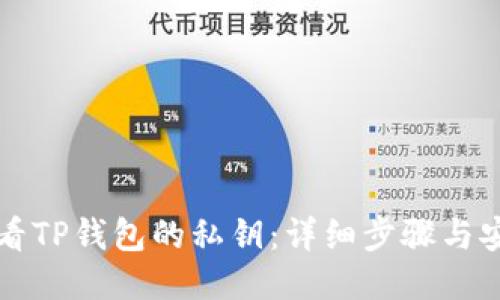 如何查看TP钱包的私钥：详细步骤与安全指南