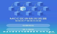 拉美加密货币市场前景展