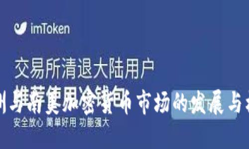非洲与南美加密货币市场的发展与机遇