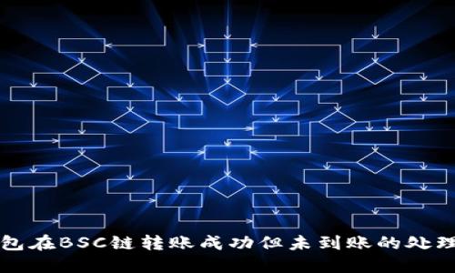 TP钱包在BSC链转账成功但未到账的处理指南