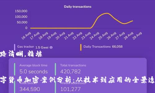 思路清晰，精炼


数字货币加密案例分析：从技术到应用的全景透视