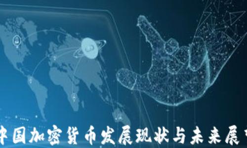 
中国加密货币发展现状与未来展望