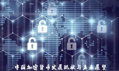 
中国加密货币发展现状与未来展望