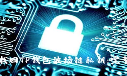 如何找回TP钱包波场链私钥：完整指南