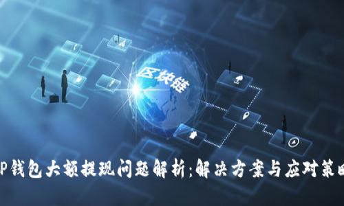 TP钱包大额提现问题解析：解决方案与应对策略