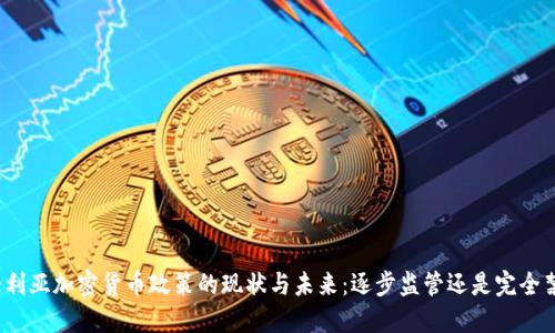 澳大利亚加密货币政策的现状与未来：逐步监管还是完全禁止？