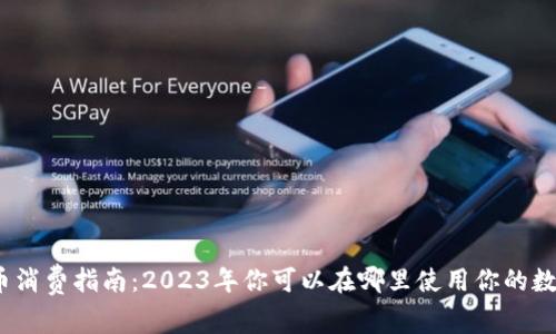 加密货币消费指南：2023年你可以在哪里使用你的数字资产？
