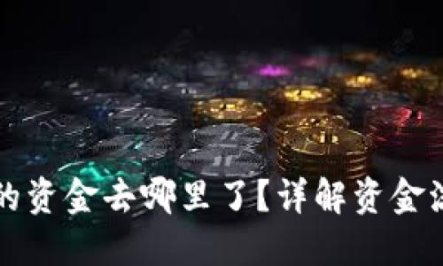 转入TP钱包的资金去哪里了？详解资金流转与安全性