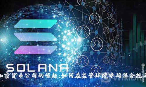AML加密货币公司的崛起：如何在监管环境中确保合规与安全
