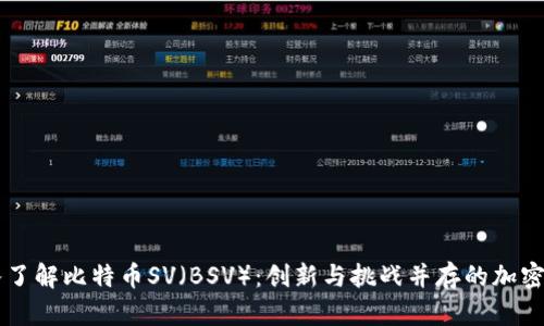 深入了解比特币SV（BSV）：创新与挑战并存的加密货币