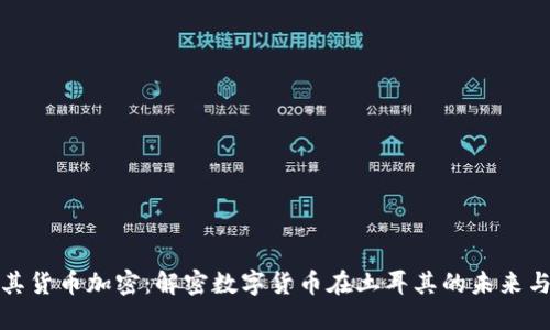 土耳其货币加密：解密数字货币在土耳其的未来与影响