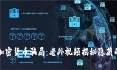 揭露加密货币骗局：老外