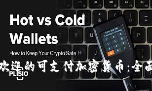 最受欢迎的可支付加密货币：全面指南