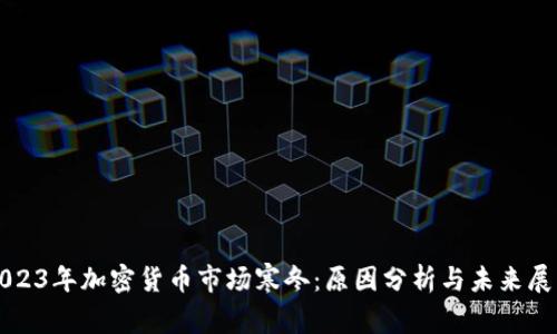 2023年加密货币市场寒冬：原因分析与未来展望