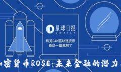   探索加密货币ROSE：未来
