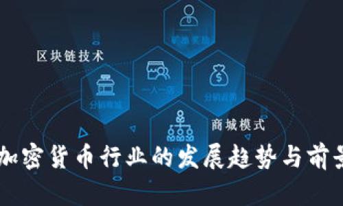 印度加密货币行业的发展趋势与前景分析