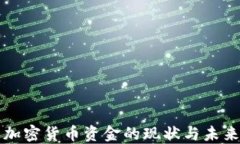 美元加密货币资金的现状