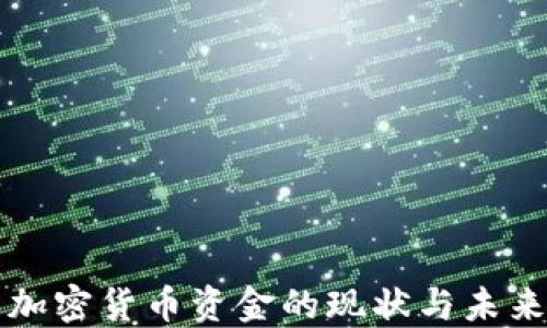 
美元加密货币资金的现状与未来发展