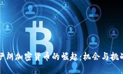 伊朗加密货币的崛起：机会与挑战