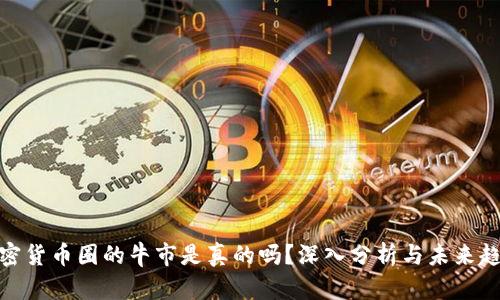 加密货币圈的牛市是真的吗？深入分析与未来趋势