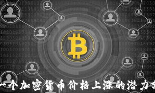 
下一个加密货币价格上涨的潜力分析