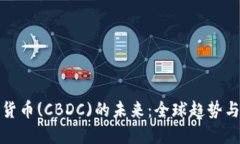 央行数字货币(CBDC)的未来