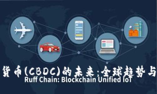 央行数字货币(CBDC)的未来：全球趋势与实施挑战