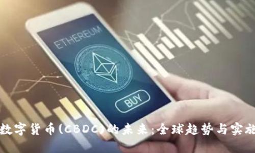 央行数字货币(CBDC)的未来：全球趋势与实施挑战