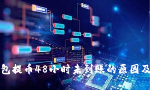 : TP冷钱包提币48小时未到账的原因及解决方法