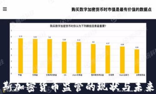 
俄罗斯加密货币监管的现状与未来发展