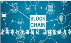加密货币深度熊市的全面