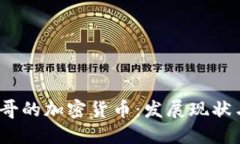  探索墨西哥的加密货币：发展现状与未来趋势